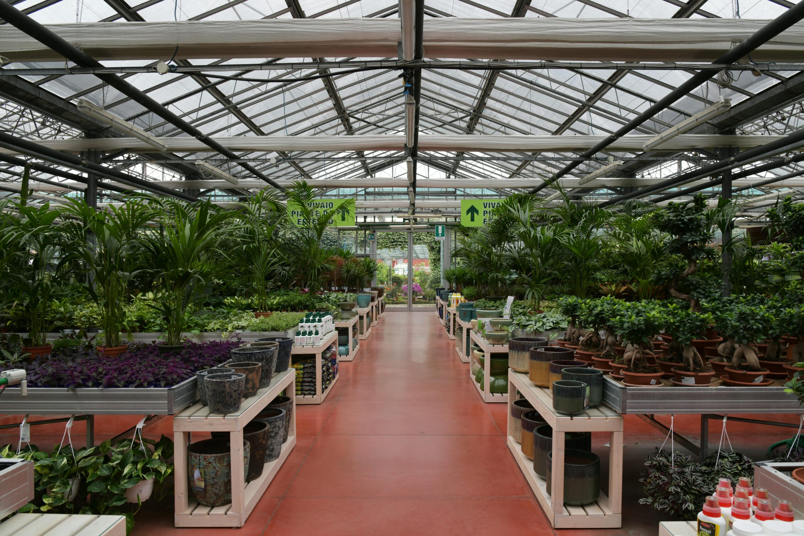 Explore a vibrant greenhouse filled with diverse plants and pots in Rizza, Veneto, Italy.