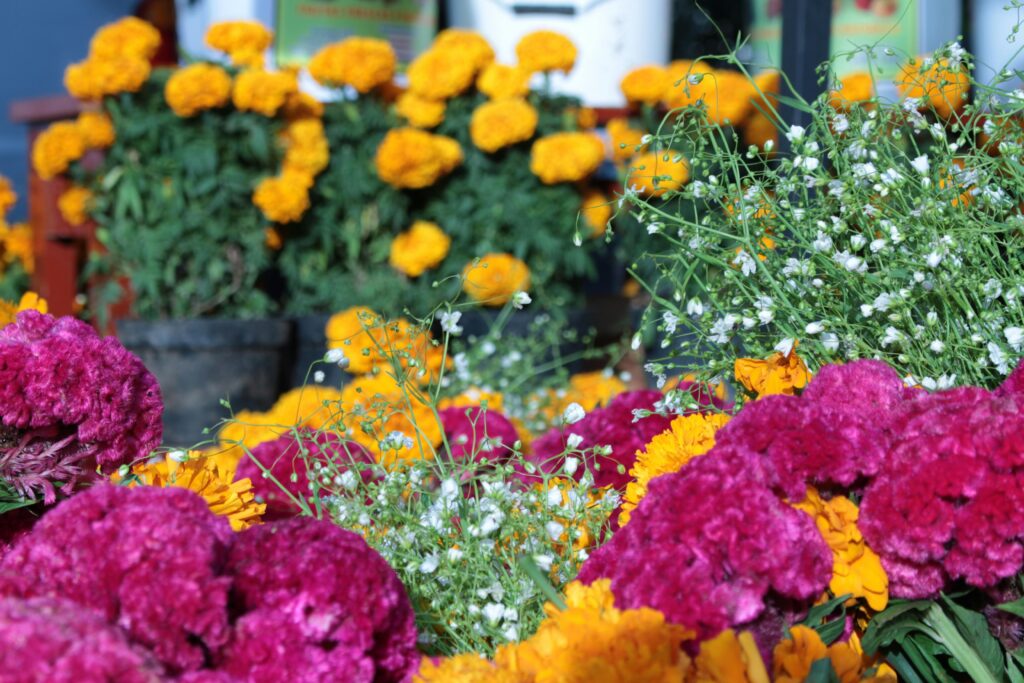 An array of colorful marigolds and celosia flowers in a summer outdoor market setting.