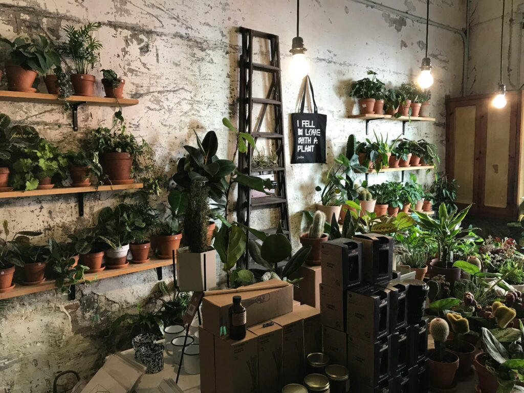 Cozy plant shop filled with potted greenery, boxes, and ambient lighting.